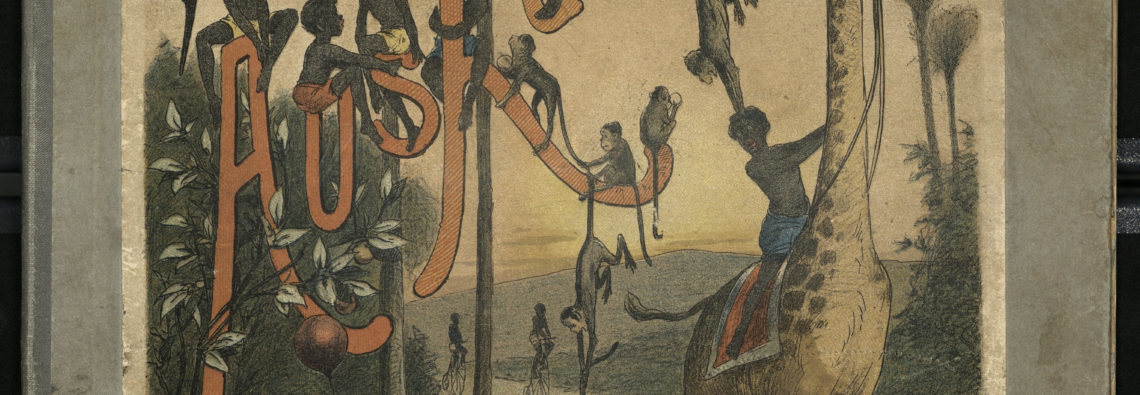 Aus-Kamerun-Umschlag